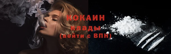 молекула духа Пестово