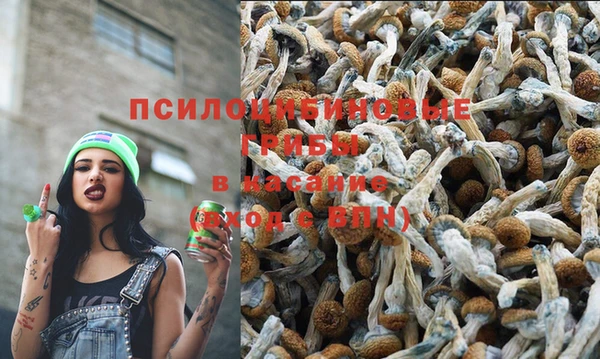 мескалин Осташков