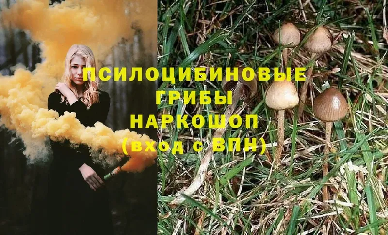 Псилоцибиновые грибы Magic Shrooms  MEGA маркетплейс  Кирс 