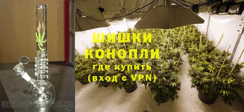 Конопля Ganja  Кирс 